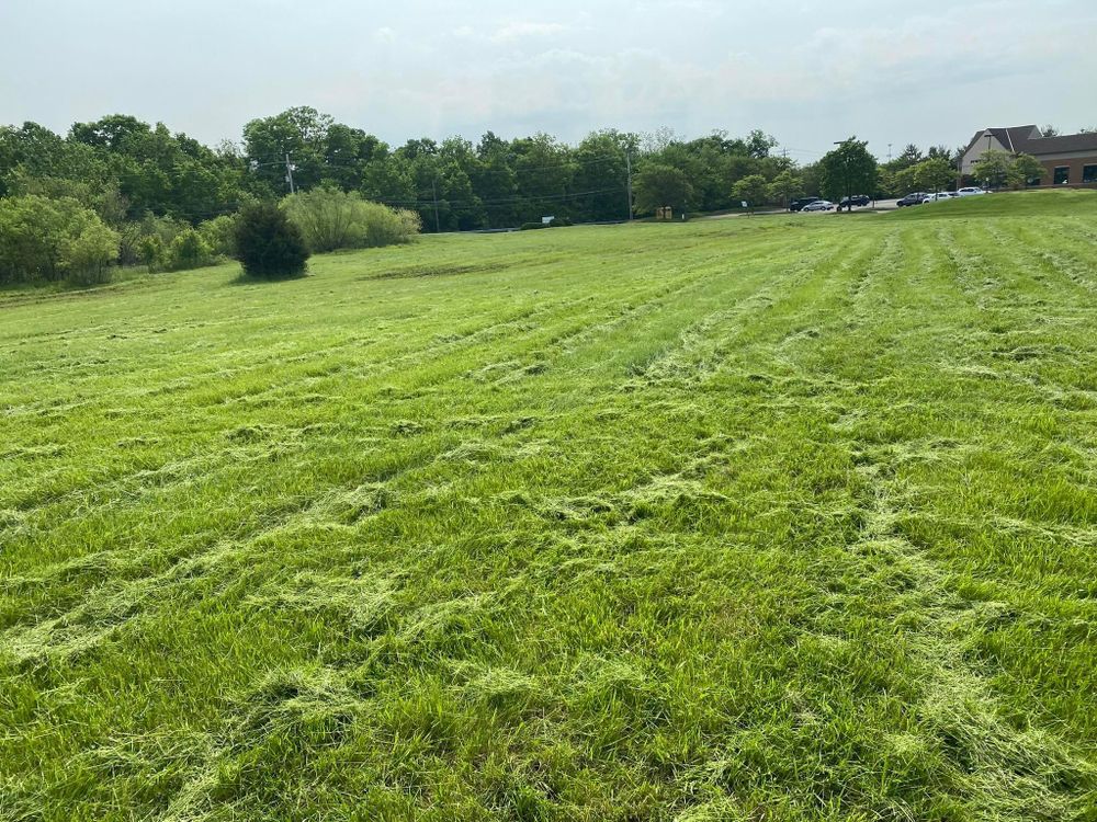 All Photos for A1 Bush Hogging & Lawn Service in Columbus, OH