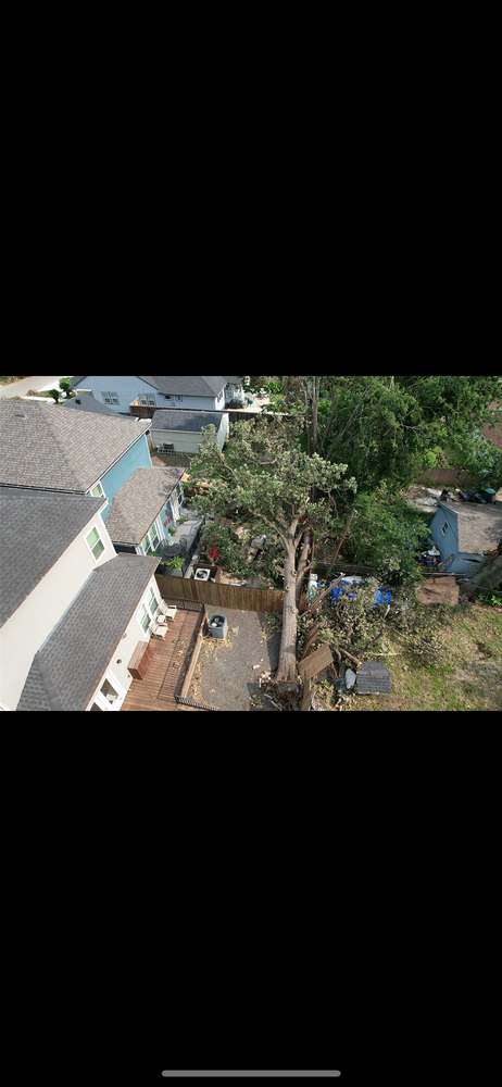 All Photos for AB Tree Service in Raleigh, NC