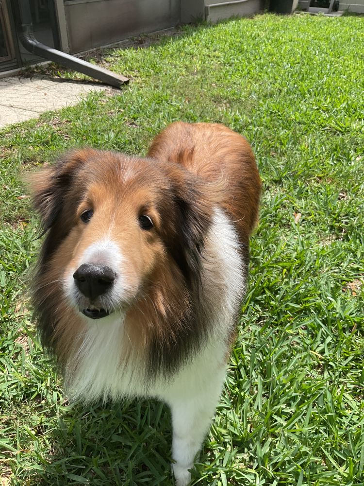 All Photos for C4 Ground Control in Oviedo, FL