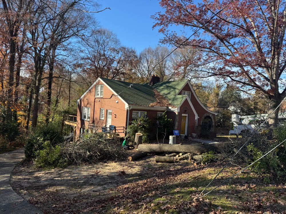 Tree Removal for Yardcall Solutions Tree & Landscaping Services in Durham, North Carolina