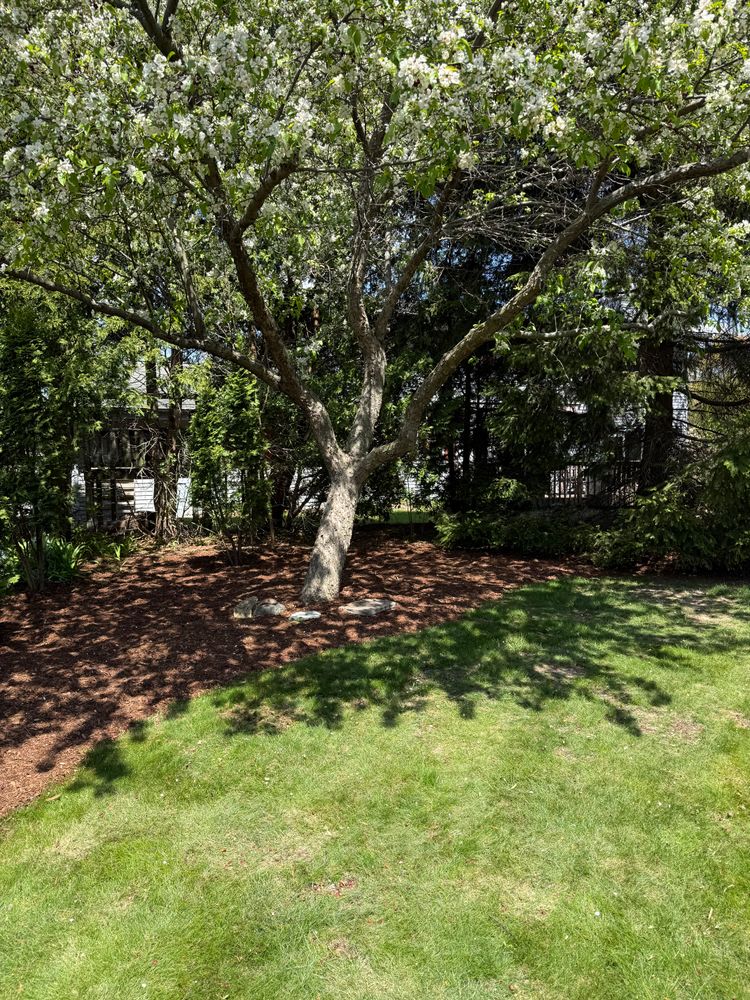 All Photos for Paradise Lawnscapes in West Bend, WI