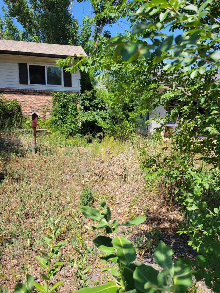 All Photos for JS Landscaping Colorado in Denver, CO