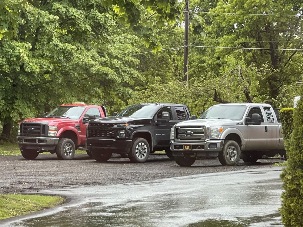 All Photos for Steed's Lawn and Landscape LLC in White Lake, MI