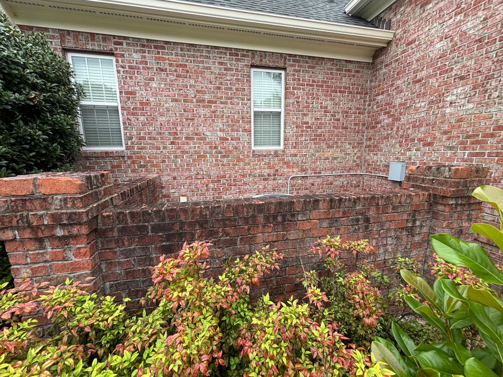 All Photos for Living Stream Pressure Washing in Wilmington, NC