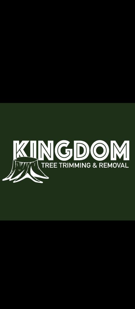 All Photos for Kingdom Tree Trimming and Removal LLC in Covington, KY