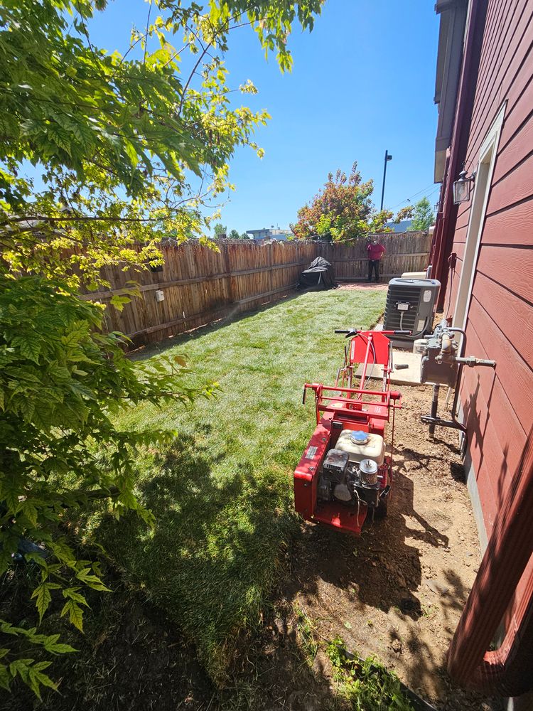 All Photos for NGL Landscape Company in Denver, CO