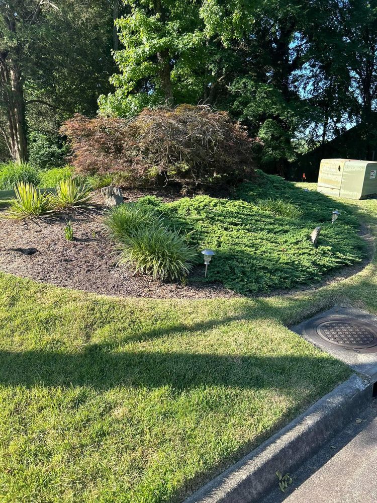 All Photos for Absolute Lawn Solutions LLC in Sutherland, VA