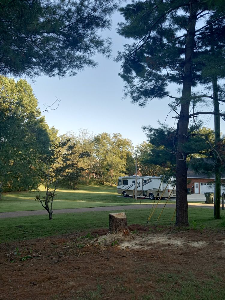 Some of our work for Affordable Tree Service TN in White House, TN