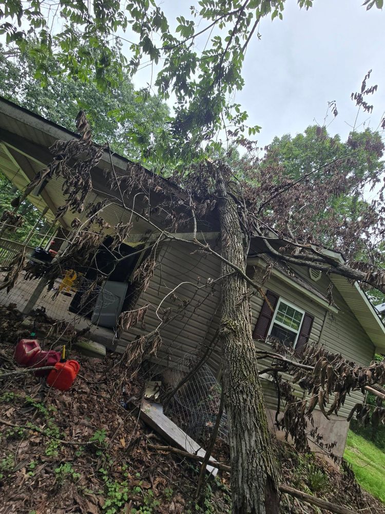 All Photos for M&L Lumber and Excavating in Jonesborough, TN