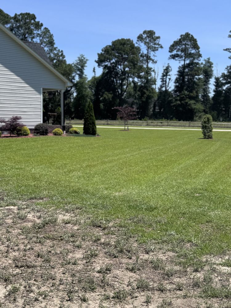 All Photos for Trinity Landscapes  in Lumberton, NC