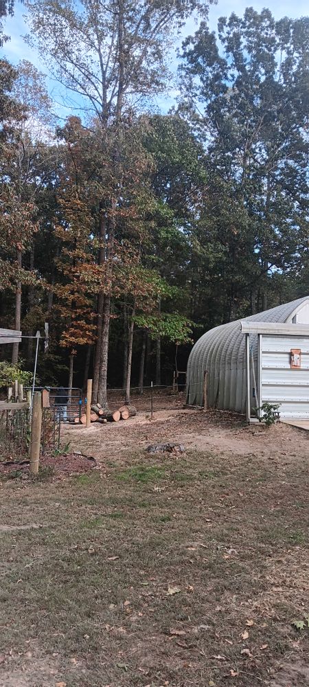 All Photos for Mario's Tree Service in Richmond, VA
