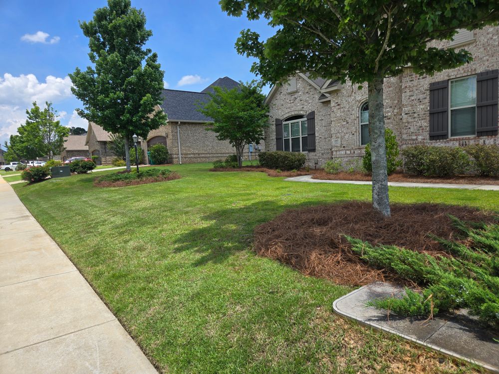 All Photos for Zepeda's Mowing in Fort Valley, GA