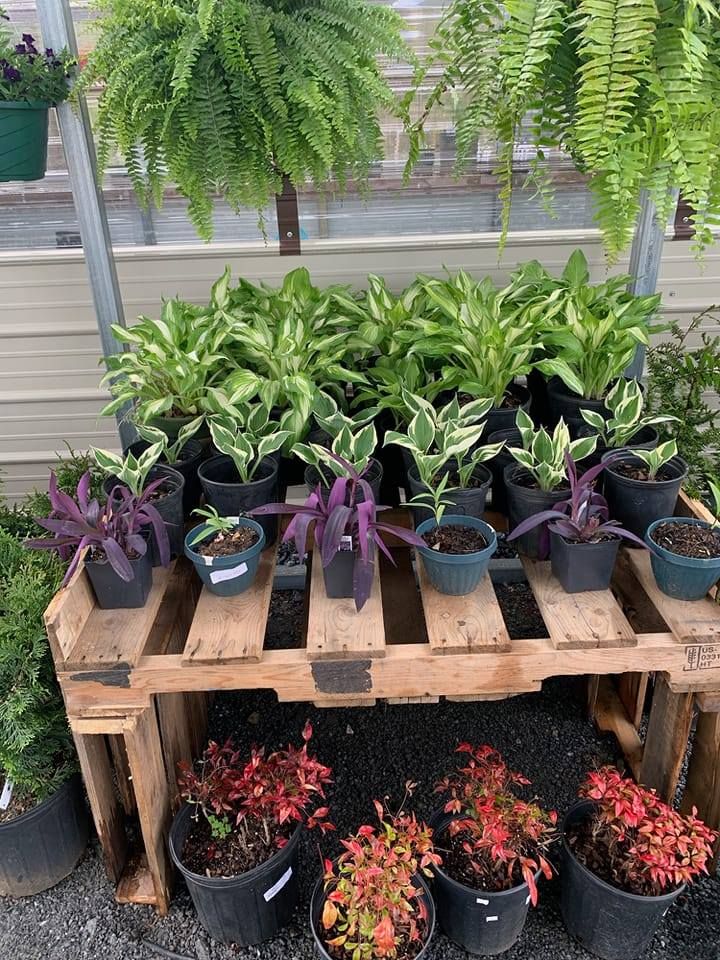 Hardscaping for Hidden Springs Enterprise in Rutherford, NC