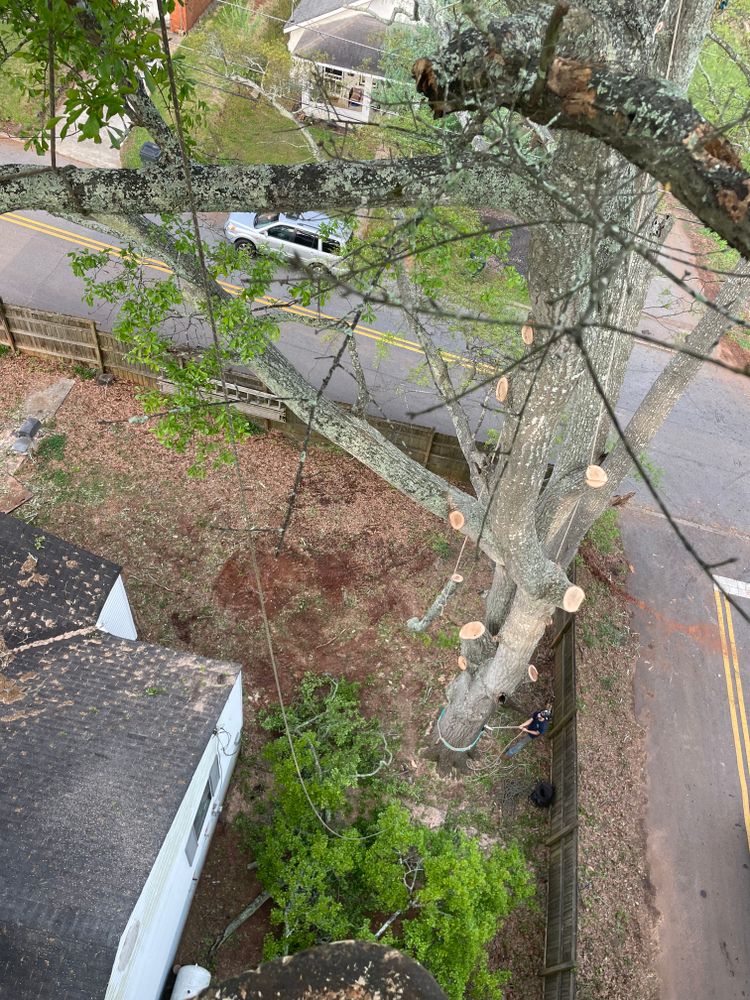 All Photos for ArborMax in Thomaston, GA