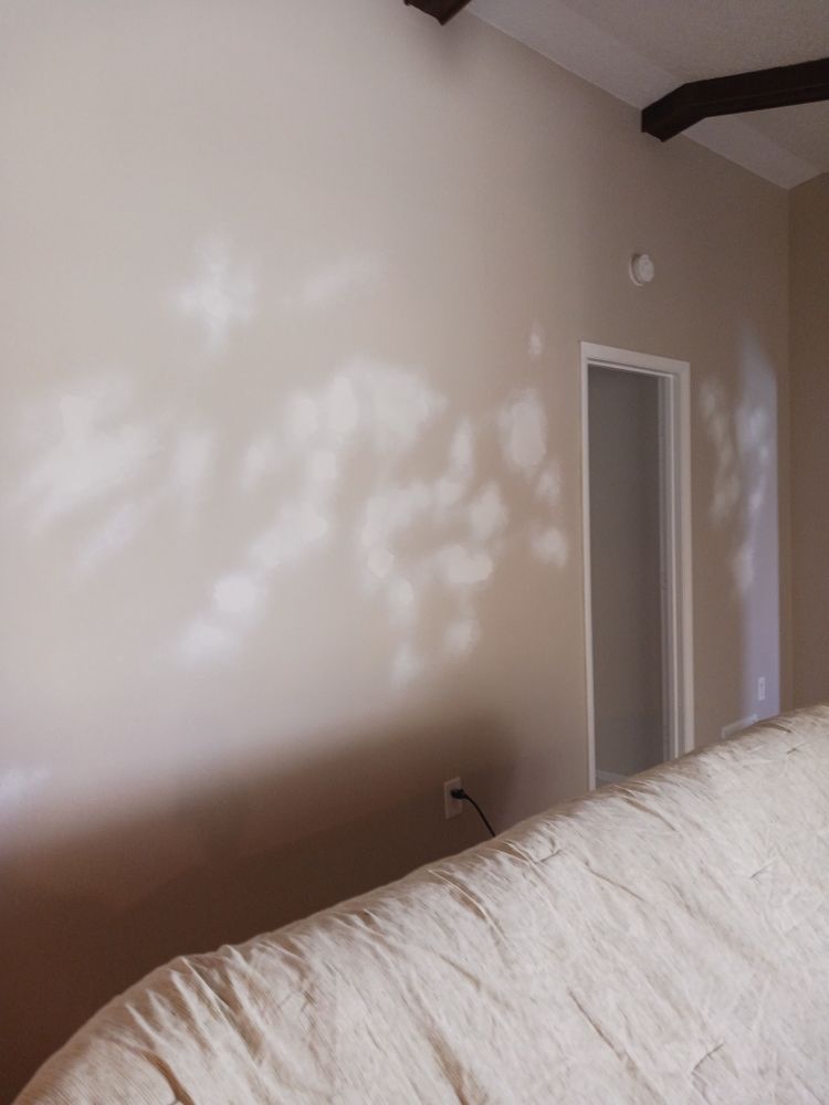 Exterior Painting for Perfection Custom Painting LLC in Port Charlotte, FL