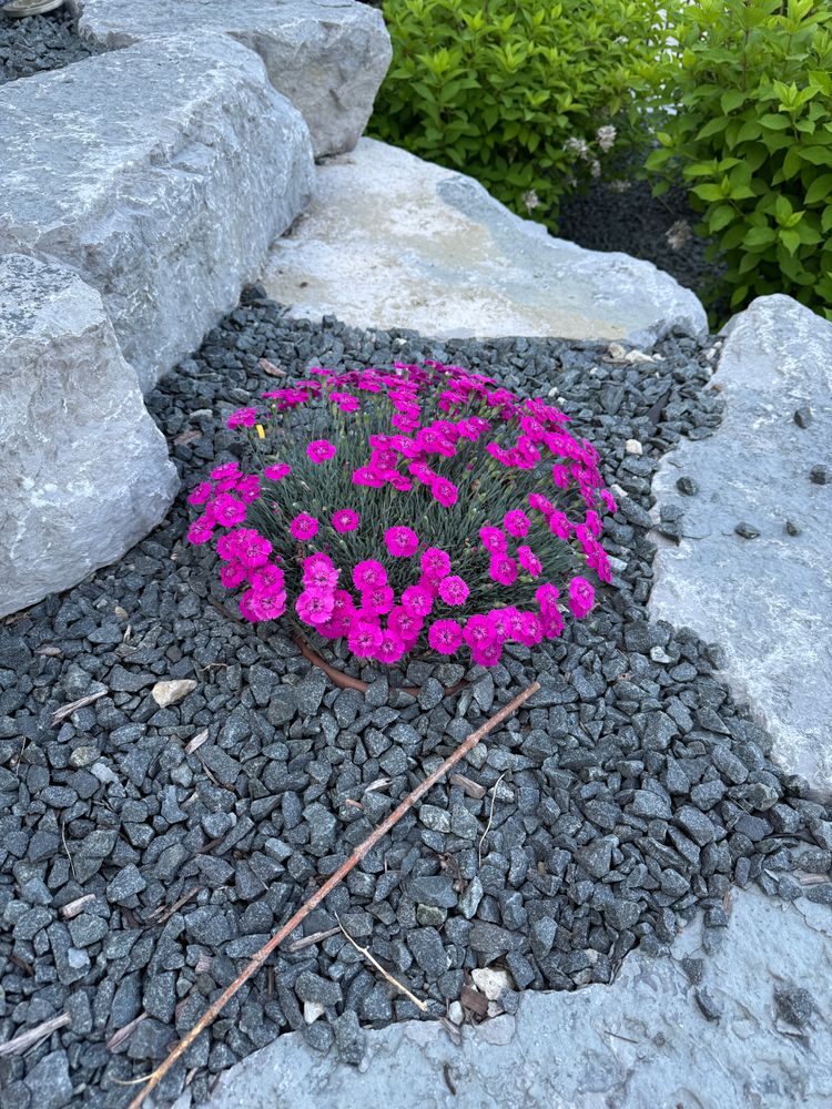 All Photos for Denali Outdoor Services in Washington, MI