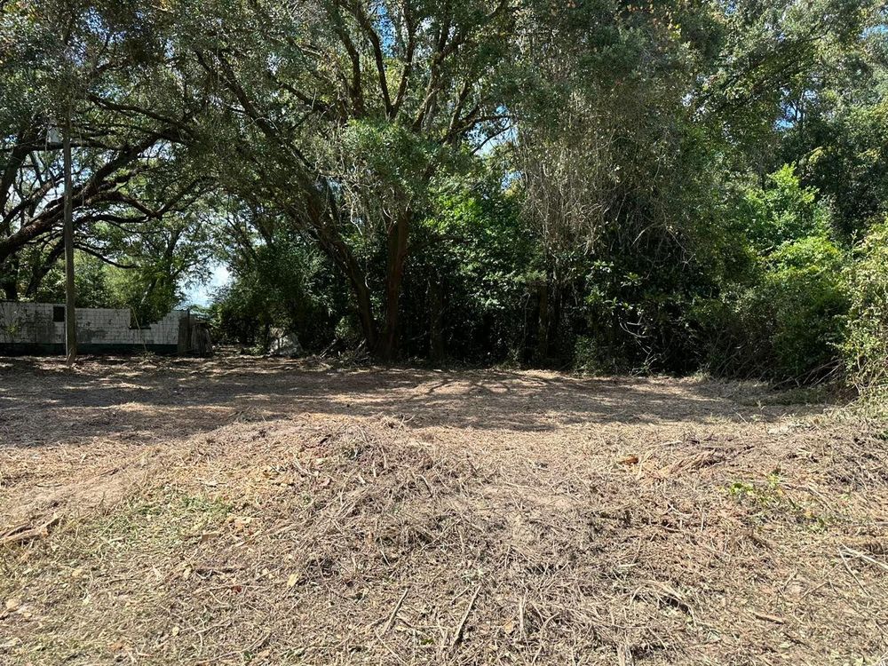 All Photos for White’s Land Maintenance in Milton,, FL