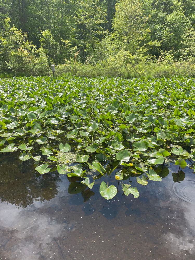 All Photos for Galactic Reiki in Mount Pocono, PA
