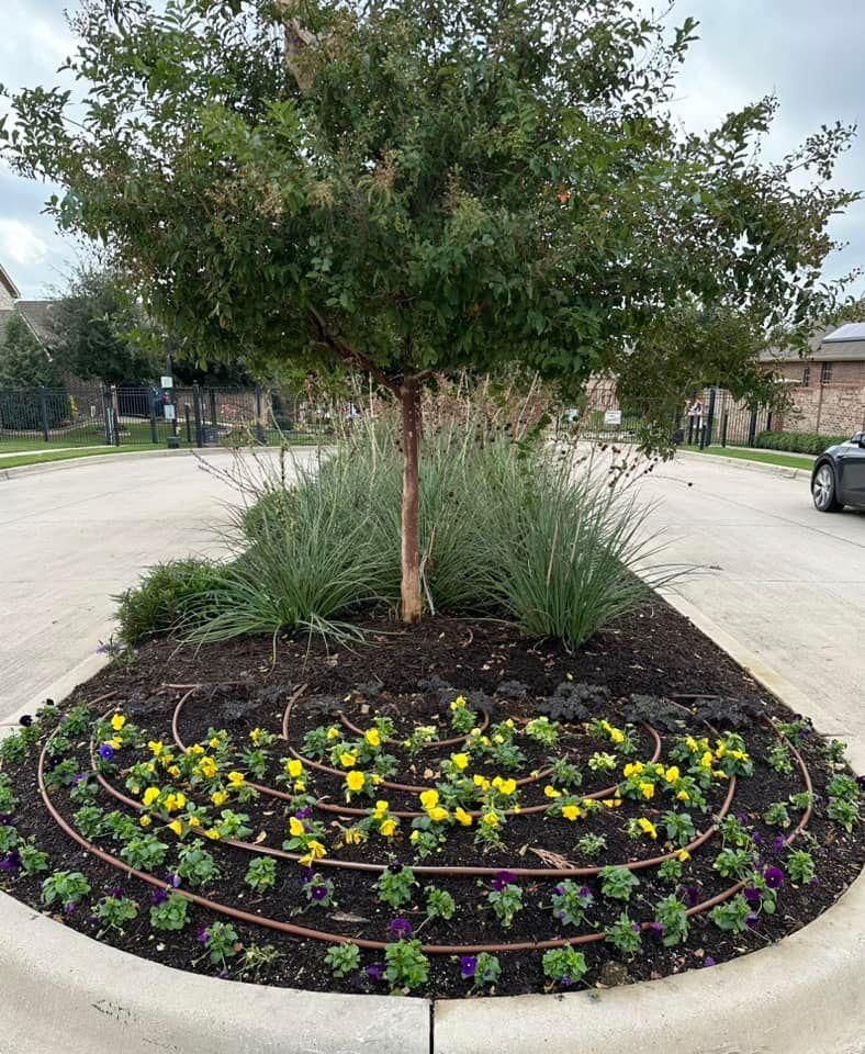 Seasonal color changes for Guerrero's Landscape in Fort Worth,  TX