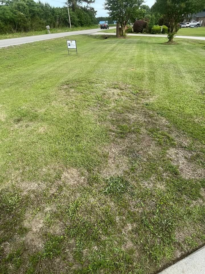 All Photos for Trinity Landscapes  in Lumberton, NC