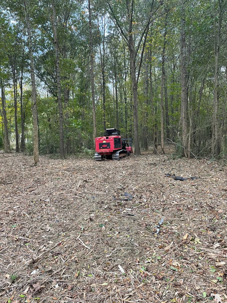 Our Forestry Mulching service efficiently clears overgrown land, turning unwanted vegetation into beneficial mulch. Ideal for site preparation and landscape enhancement, it promotes healthy soil while minimizing environmental impact. for Double J Excavation in Nashville, AR