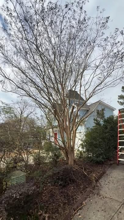 All Photos for Healthy Roots Landscaping in Apex, NC