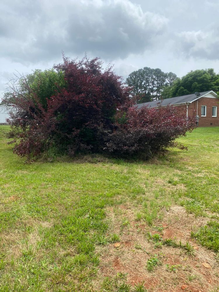 Mulching for America's Top Pick Lawn & Landscaping in Gastonia, NC