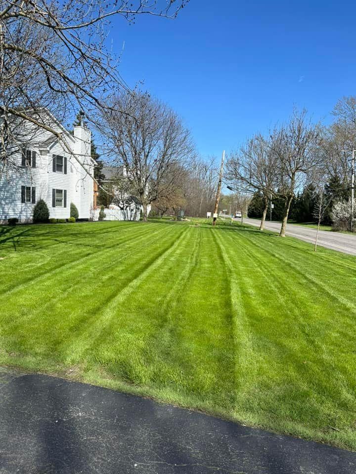 Residential & Commercial Lawn Rolling, Care and Maintenance for Hauser's Complete Care INC in Depew, NY