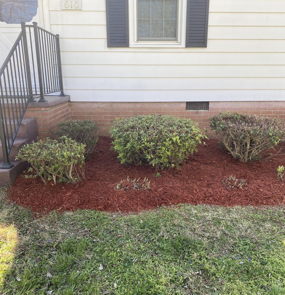 Fall and Spring Clean Up for Alligator Lawn Care LLC in Siler City, North Carolina