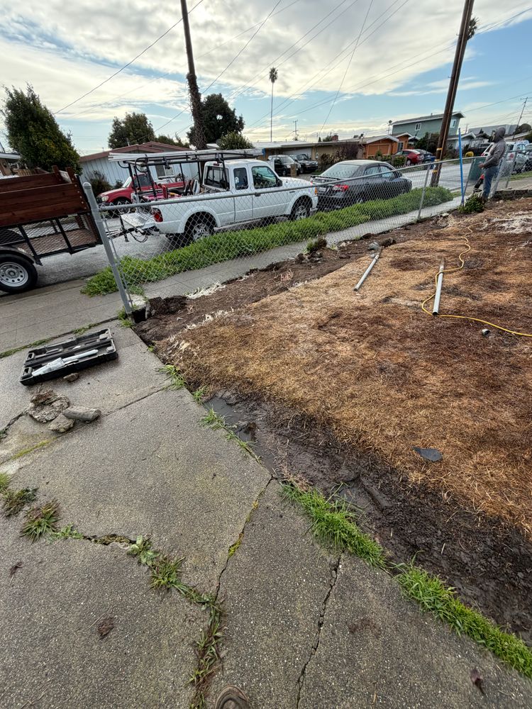 All Photos for CBA Landscaping in Hayward, CA