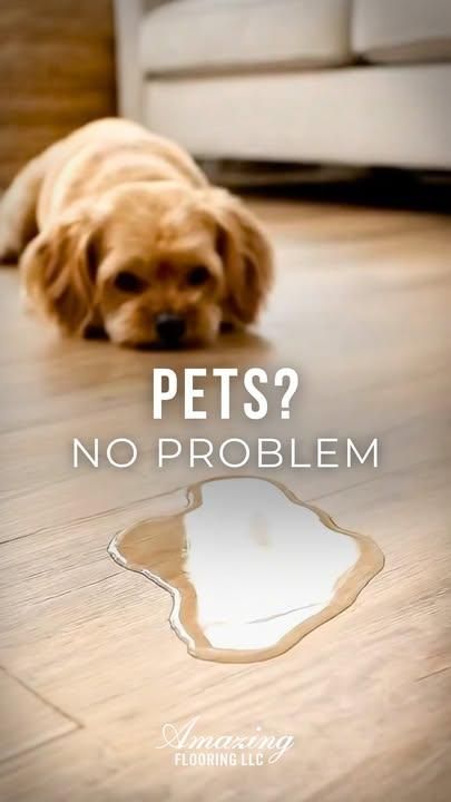 All Photos for Amazing Flooring LLC in Hilton Head Island, SC