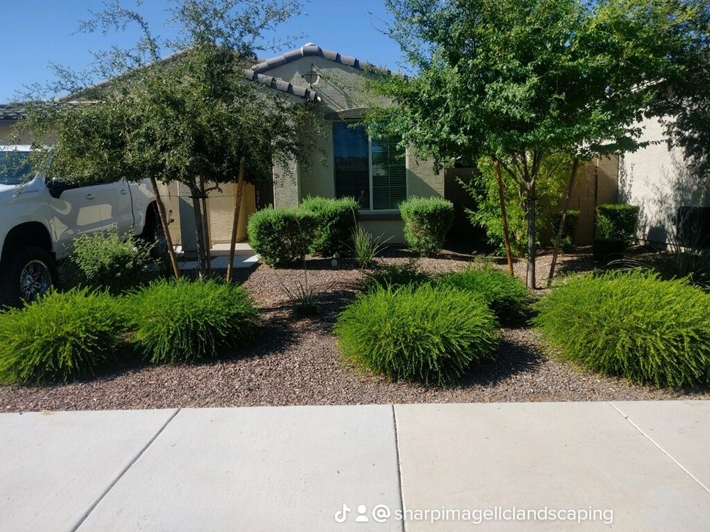 All Photos for Sharp Image LLC Landscaping & Hardscape in Phoenix, AZ