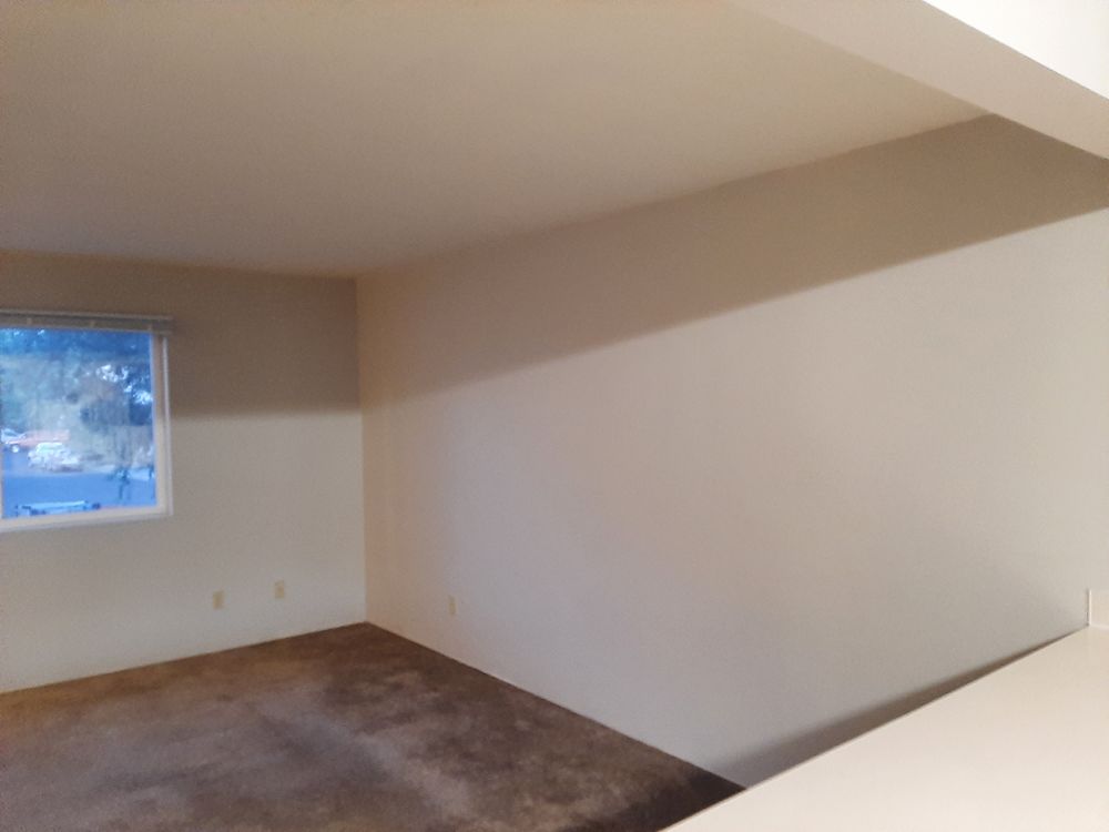 All Photos for Wild Mutt Handyman Services in Pullman, WA