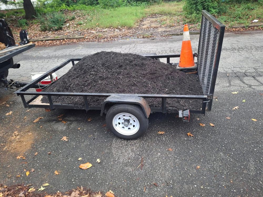 All Photos for The DUFF LAWN Service in Houston, Texas