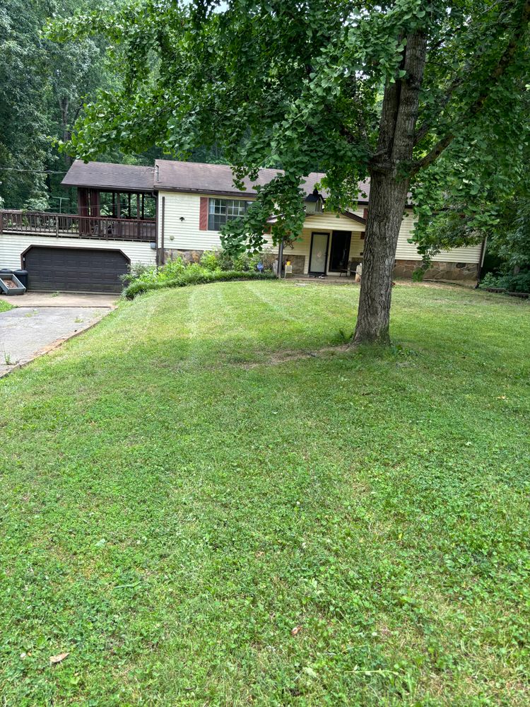 Our professional lawn service enhances your home's curb appeal by ensuring a healthy, lush green lawn. We provide expert care tailored to meet your specific needs for vibrant and thriving outdoor spaces. for SEALY TREE and LAWN in Cleveland, TN