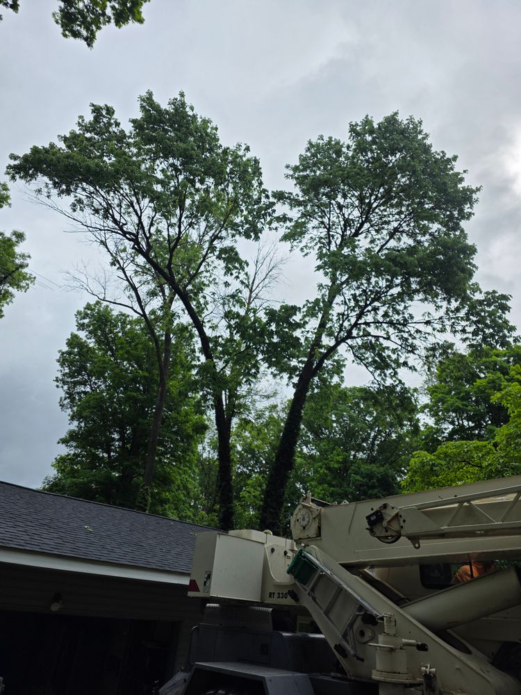 All Photos for Advanced Tree Solutions in Rockville, IN
