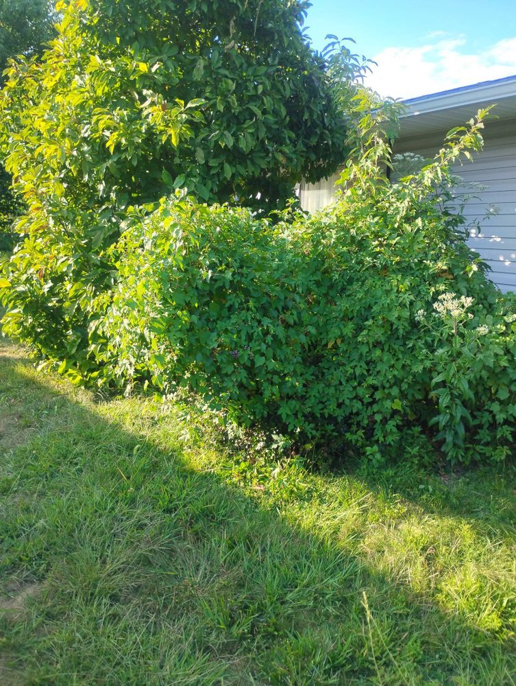 All Photos for Russo’s Landscaping & Tree Removal in Levittown, PA