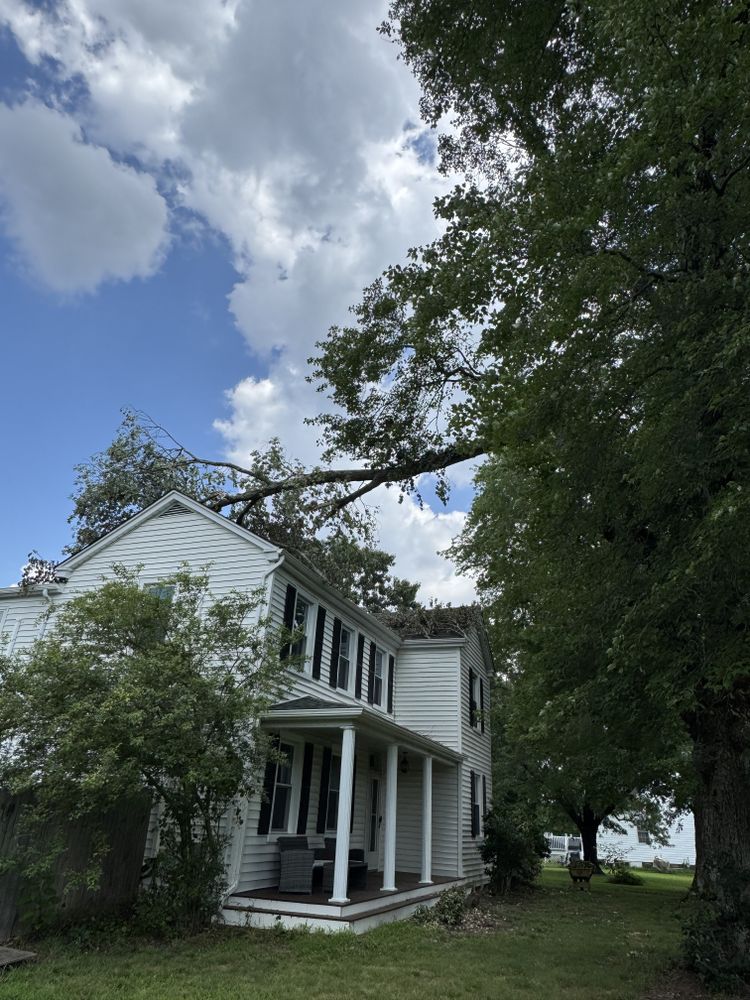 All Photos for Rawls Tree Care in Richmond, VA