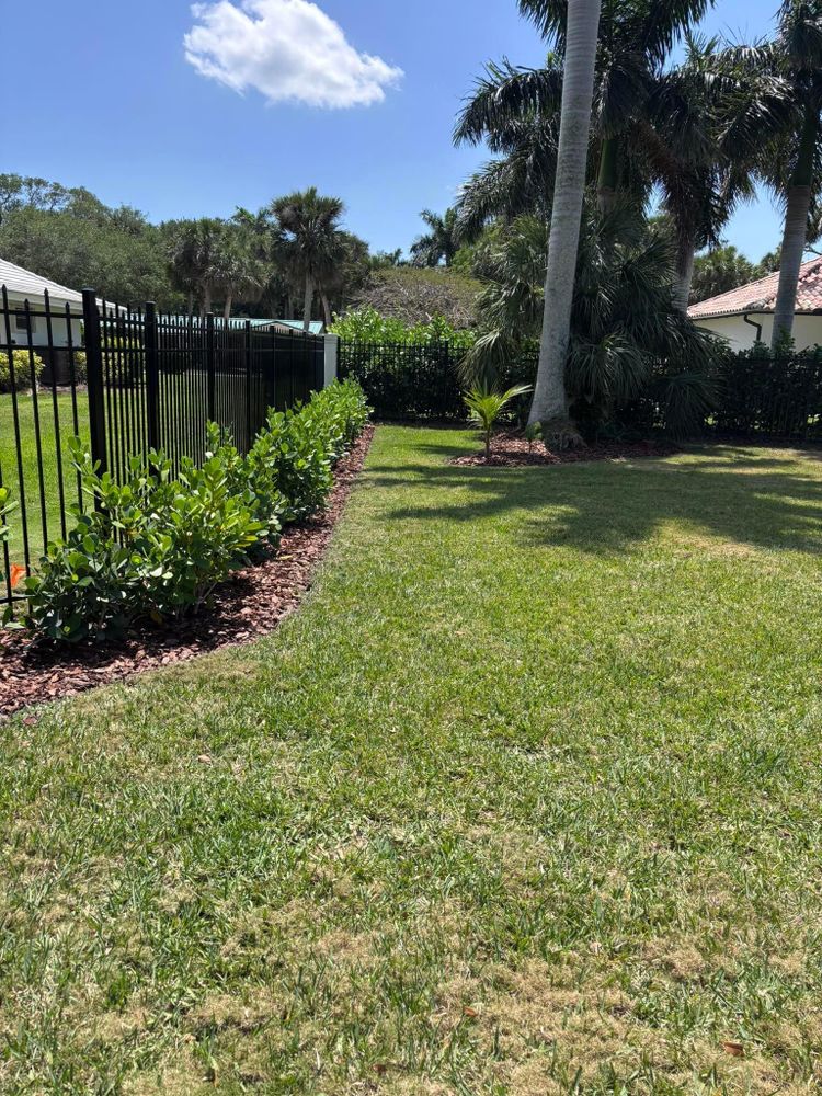 All Photos for Tolliver’s landscape LLC in Palm Bay, FL
