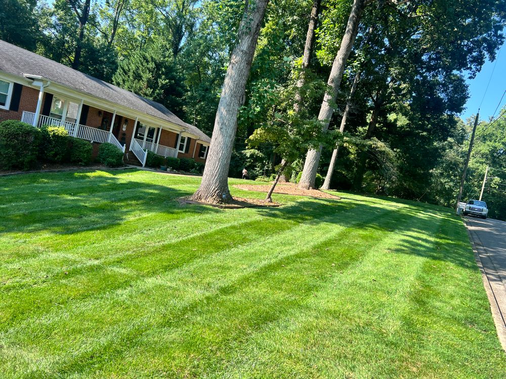 Lawn Care for Massey Landscaping in Gastonia, NC