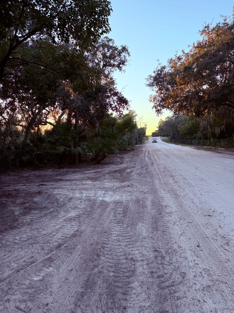 All Photos for Amerigrown Tree And Lawn in Apopka, FL