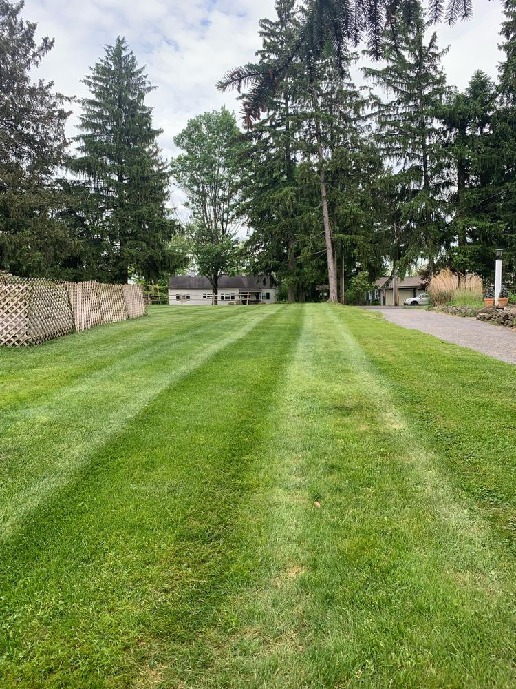 Lawn Care for Trueman Landscaping in Wexford, PA