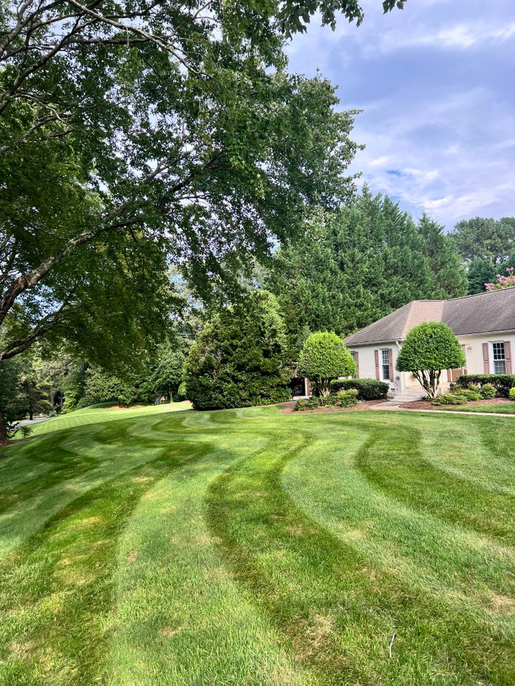 Lawn Care for Massey Landscaping in Gastonia, NC