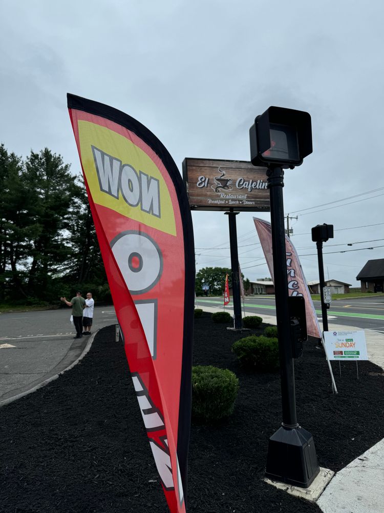 All Photos for Adams Landscaping in Springfield, MA