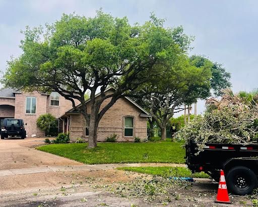 All Photos for Johnnys Pro Cutters in Corpus Christi, TX