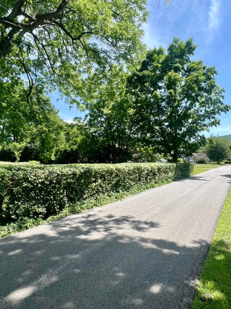 All Photos for Bishop’s Property Maintenance in Franklin, VT