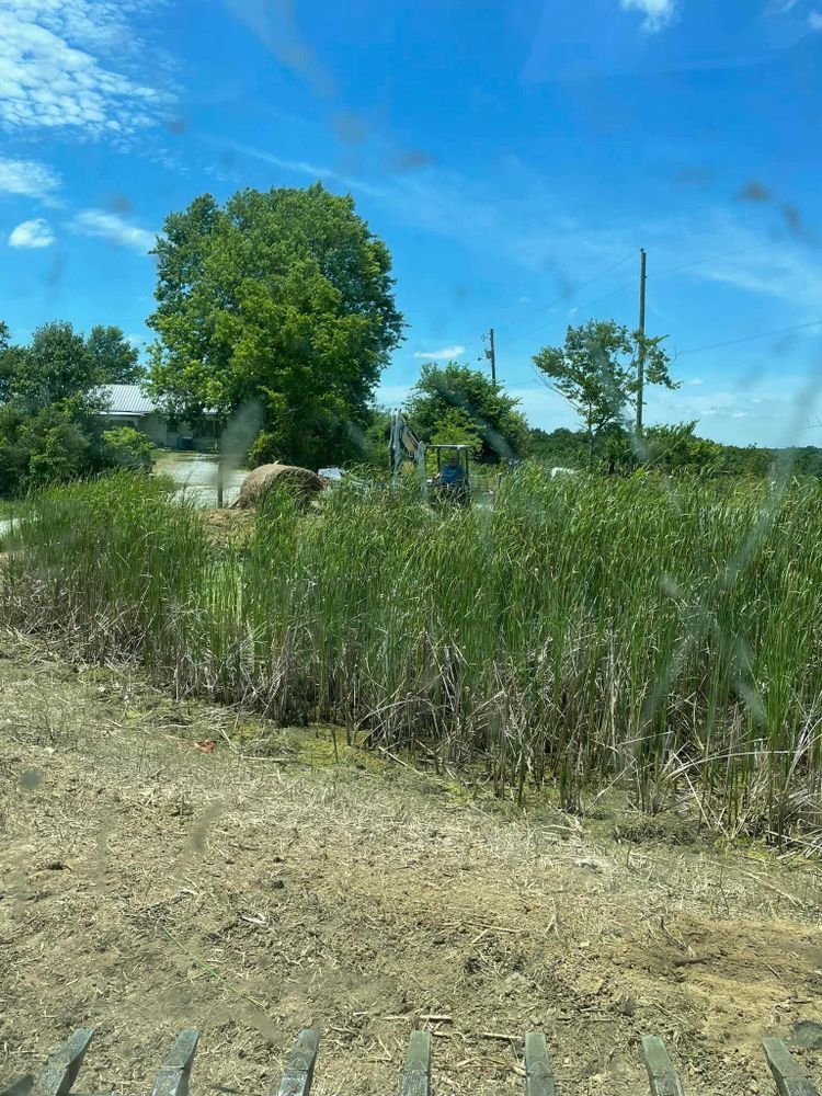 Land Clearing for Patterson Excavation in Dry Ridge, KY