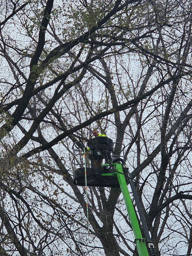 All Photos for Minnesota Seasonal LLC in Corcoran, MN