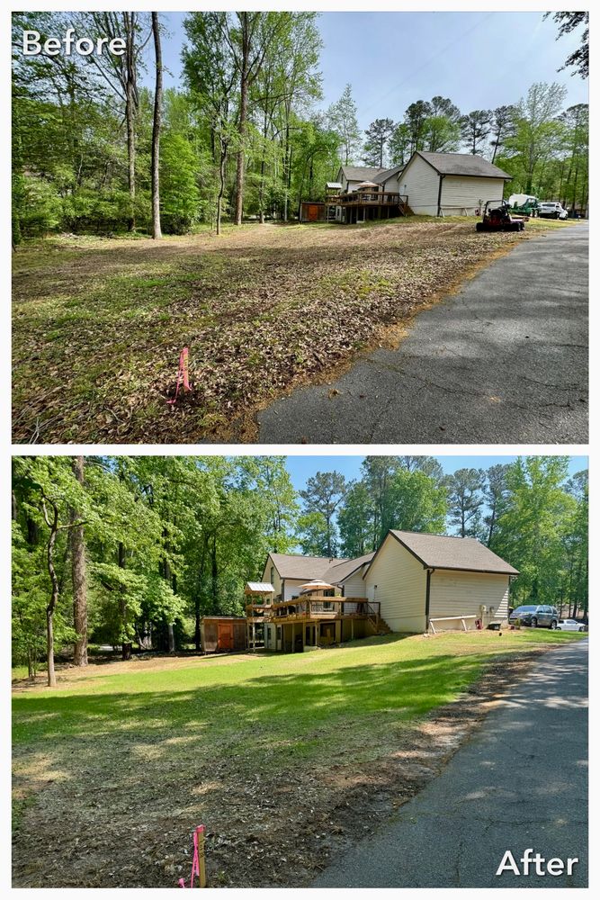 Brush Cutting and Removal for Fayette Property Solutions in Fayetteville, GA