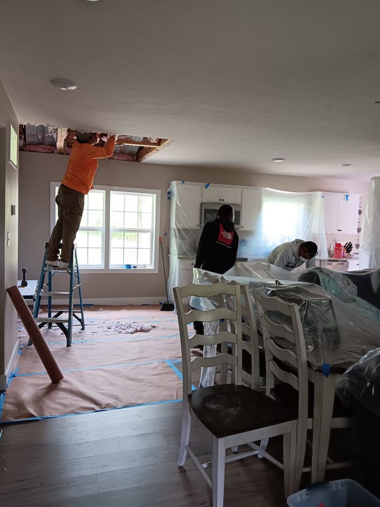 Subfloor repair and Beam Shoring for Dead Tree General Contracting in Carbondale, Illinois